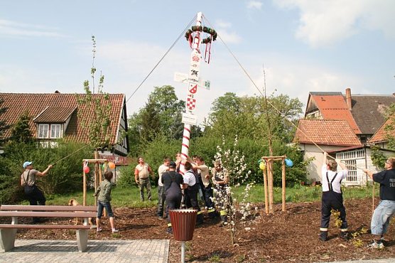 Maibaum setzen (Foto: H. M&uuml;ller)