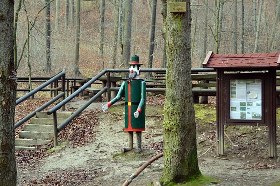 Holzernte geplant (Foto: privat)