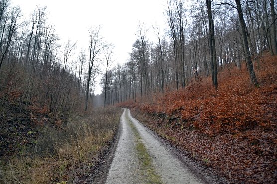 Wege sollen wieder hergerichtet werden (Foto: privat)