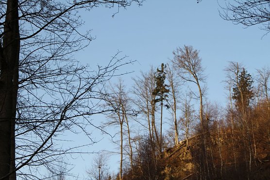 Warm wie noch nie - der Dezember 2015 (Foto: Angelo Glashagel) Warm wie noch nie - der Dezember 2015 (Foto: Angelo Glashagel)