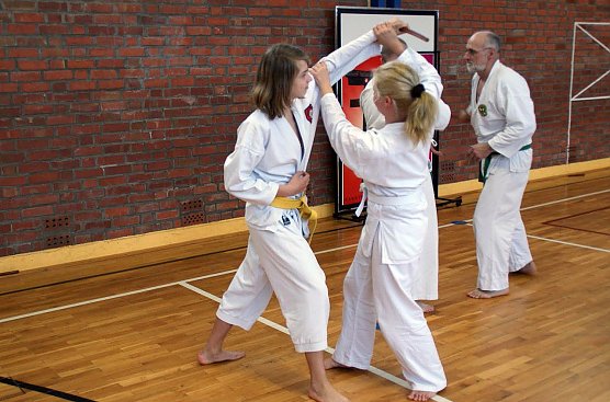 Erfolgreiches Jahr 2015 f&uuml;r Karate-Do-Kwai Nordhausen (Foto: S. Schr&ouml;ter)