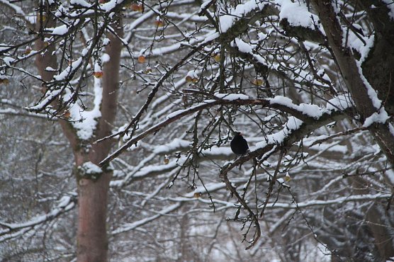 Wetterbild (Foto: Angelo Glashagel)
