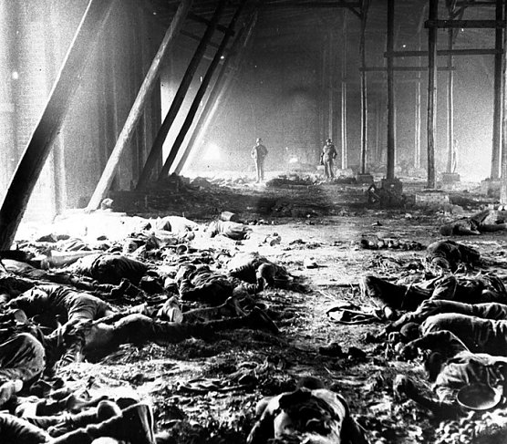 Gardelegen 1945 (Foto: National Archives Washington)