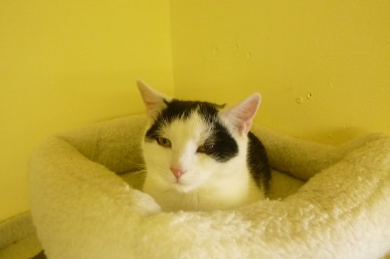 Tier der Woche: Bobby (Foto: Birgit Hellrung) Tier der Woche: Bobby (Foto: Birgit Hellrung)