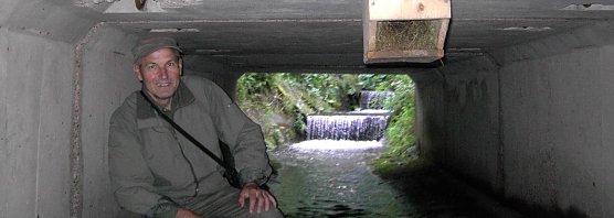 Herbert Buchholz bringt Nisthilfen f&uuml;r Wasseramseln unter Br&uuml;cken an Bach-und Flussl&auml;ufen an. (Foto: privat)