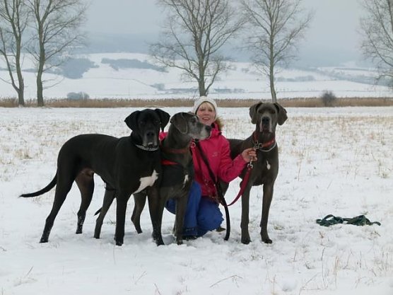 Geh&ouml;ren zur Familie Matzak: Odin, Undis und Aurelia. (Foto: privat)