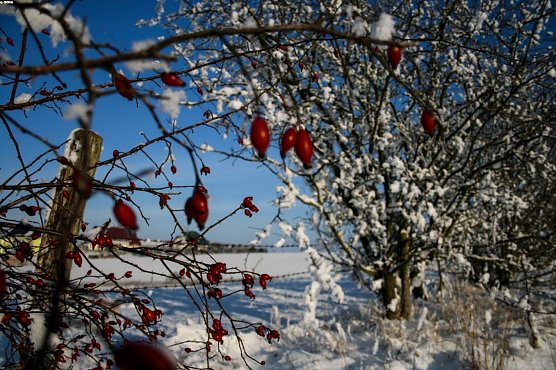 Wetterbild (Foto: Gernot Thelemann)