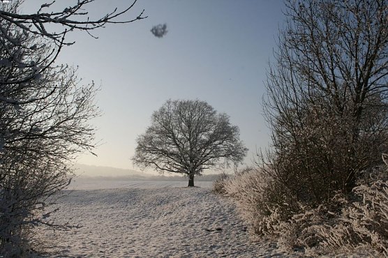 Wetterbild (Foto: Gernot Thelemann)