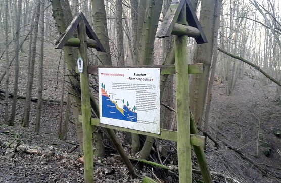 Info-Tafel leidet immer mehr (Foto: Bodo Schwarzberg)