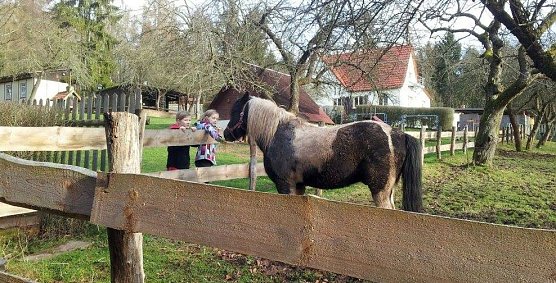 Feriencamp in Harzrigi (Foto: Horizont)