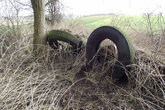 Autoreifen, etliche schon unter Gras und Gestr&uuml;pp verborgen. (Foto: Kurt Frank)