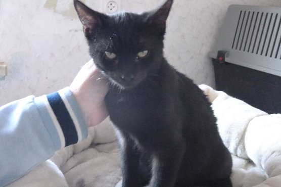 Tier der Woche: Fjuri (Foto: Birgit Hellrung)