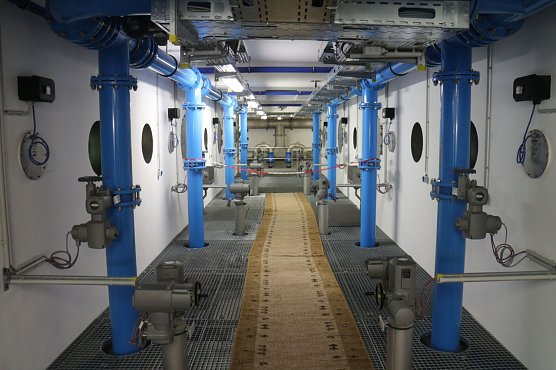 In den Mischkammern wird das Trinkwasser noch einmal durch Calciumcarbonat gefiltert (Foto: Angelo Glashagel)