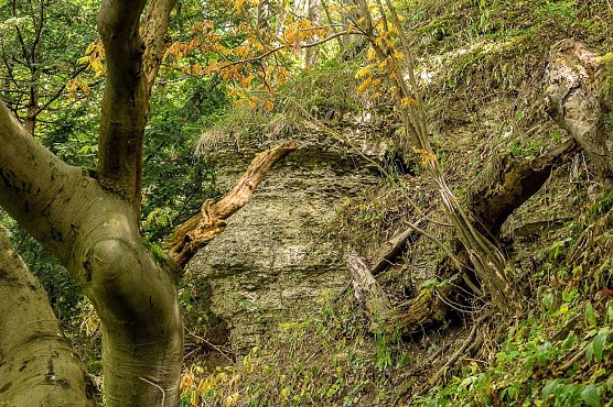 Felswand der Hasenburg (Foto: Gernot Thelemann)