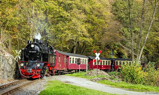 Die Ballerina im Selketal (Foto: HSB/Bahnsen)