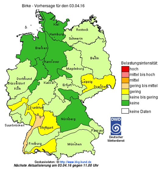 Vorhersage Birke (Foto: DWD)