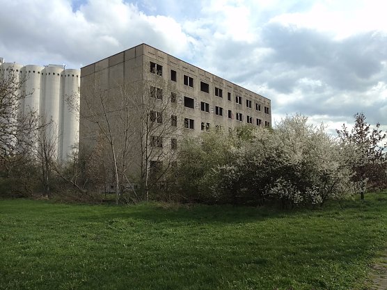 Peter Blei unterwegs in der S&uuml;dstra&szlig;e (Foto: Peter Blei)