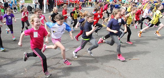 Sie rennen wieder - im Gehege findet heute der Fr&uuml;hjahrscrosslauf der Schulen des Landkreises statt (Foto: Angelo Glashagel)