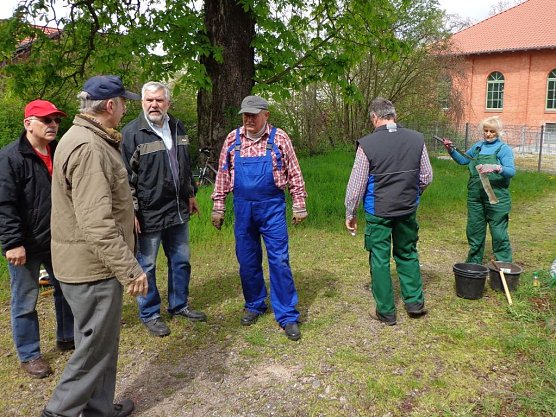Subottnik des Nordh&auml;user Geschichts- und Altertumsvereins (Foto: Hans-Georg Backhaus)