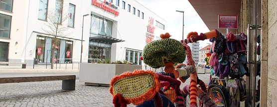 Wer bedroht hier wen in seiner Existenz? (Foto: nnz)