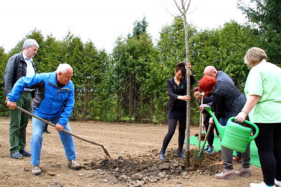 Eine Mai-Linde f&uuml;r Sollstedt (Foto: Bernd Peter)