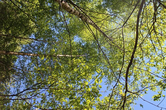 Wetterbild (Foto: Angelo Glashagel)