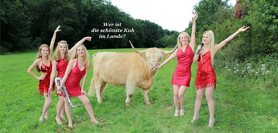 Wer ist die sch&ouml;nste Kuh im Land? - Gekl&auml;rt wird diese Frage Ende Mai auf der 4. Th&uuml;ringer Jungtierschau (Foto: Dr. Uta Sophie Halbritter)