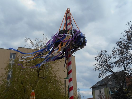 Maibaumsetzen im DRK Pflegeheim Nordhausen Nord (Foto: Heike Schallopp)