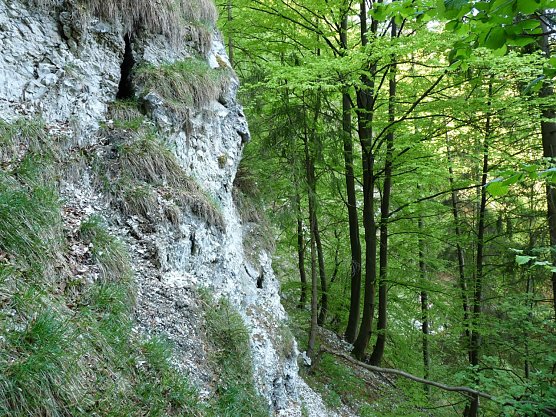 Pfingstwanderung am Alten Stolberg (Foto: Naturpark Südharz) Pfingstwanderung am Alten Stolberg (Foto: Naturpark Südharz)