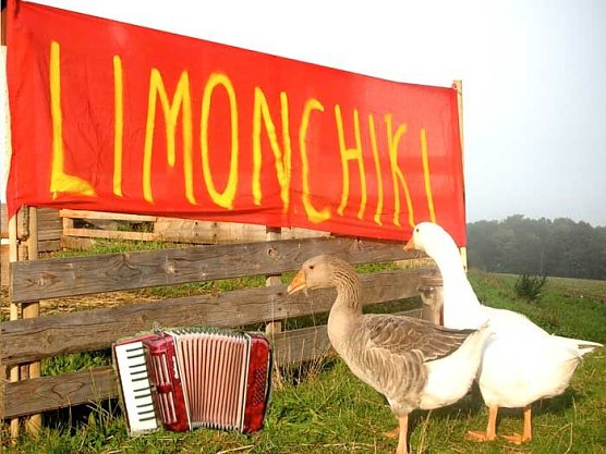 Die achte Auflage (Foto: jks) Die achte Auflage (Foto: jks)