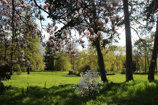 Alles bereit f&uuml;r das Parkfest - in dieser Woche wird im Park Hohenrode noch einmal ordentlich zugepackt (Foto: Angelo Glashagel)
