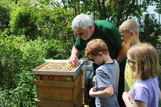 Olaf Hartung und seine Bienen AG begutachten ihre V&ouml;lker (Foto: Angelo Glashagel)