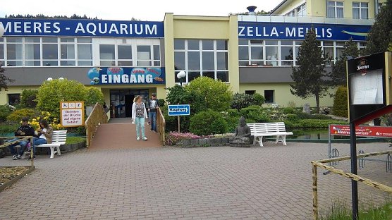 Meeresaquarium Zella Mehlis (Foto: Kurt Frank)