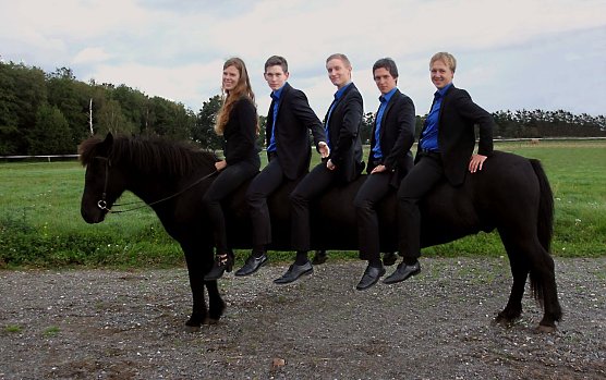 F&uuml;nf auf einem Pferd (Foto: privat)