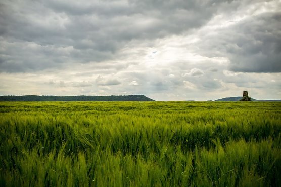 Wetter-Bild (Foto: Gernot Thelemann)