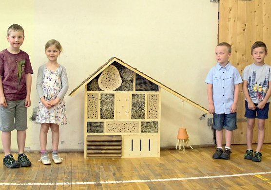 Insektenhotel (Foto: privat)