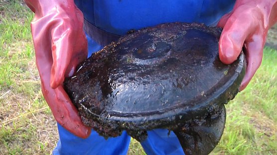 Verd&auml;chtiger Gegenstand in der Zorge entdeckt (Foto: Angelo Glashagel)