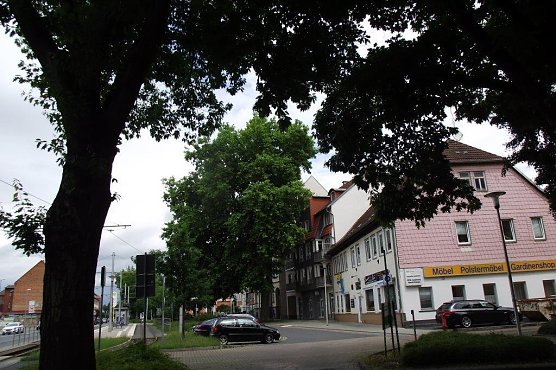 Die m&auml;chtige Platane &uuml;berragt alle anderen B&auml;ume. (Foto: Kurt Frank)