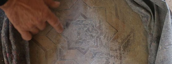 Im Park Hohenrode will man den Kampf gegen den Schwamm dieses Jahr beenden (Foto: Angelo Glashagel)