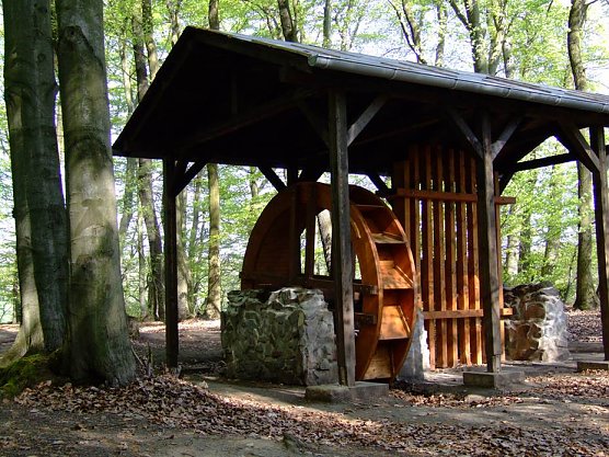 uf einer ca. 4 km langen Rundwanderung entlang zahlreicher Sachzeugen einer mehr als 800j&auml;hrigen Bergbaugeschichte &ouml;stlich von Wettelrode werden zahlreiche Pflanzenarten links und rechts des Weges vorgestellt.  (Foto: Arbeitsgemeinschaft Drei L&auml;nder - Ein Weg - Karstwanderweg S&uuml;dharz)