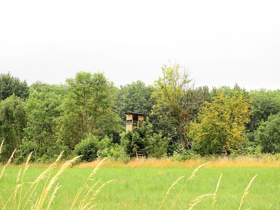 Peter Blei unterwegs - diesmal in der freien Natur und im Jugendwaldheim Rathsfeld (Foto: Peter Blei)