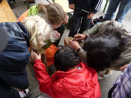 Neugierig (Foto: nnz)