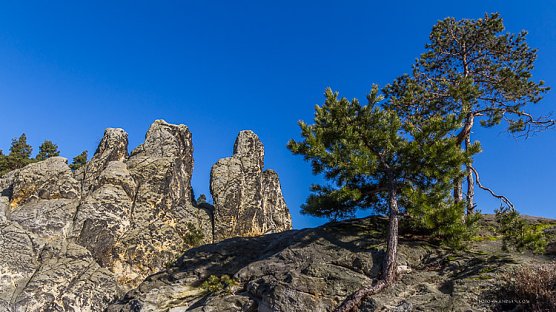 Den Harz mit dem Fotoapparat erwandern (Foto: Andreas Levi) Den Harz mit dem Fotoapparat erwandern (Foto: Andreas Levi)