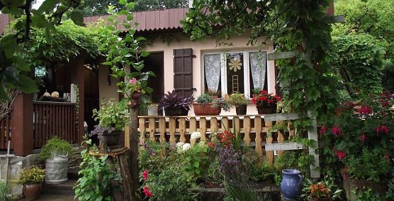 H&uuml;bsch anzusehen: Das idyllische Gartenh&auml;uschen, umrankt von bunter gr&uuml;ner Vielfalt. (Foto: Kurt Frank)