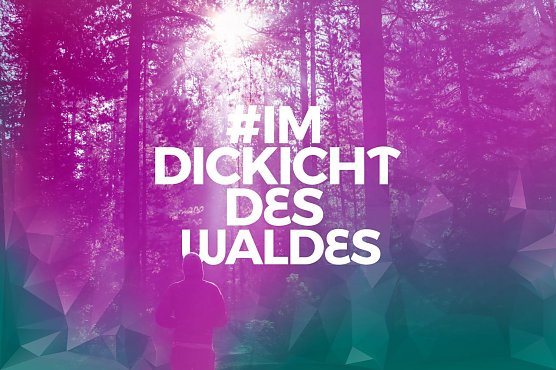 #ImDickichtDesWaldes - das Kulturfestival "Theaternatur" startet in die zweite Runde (Foto: Harzer Tourismusverband)