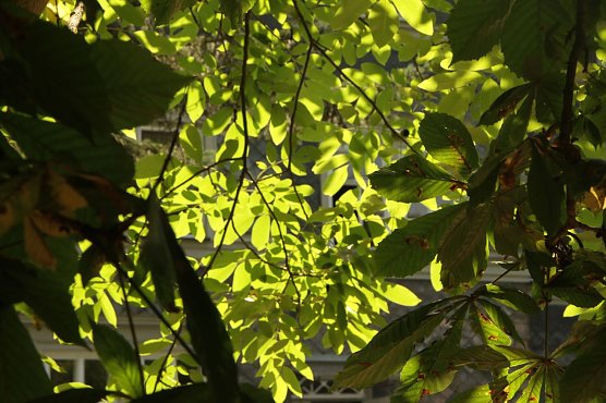 Wetterbild (Foto: Angelo Glashagel) Wetterbild (Foto: Angelo Glashagel)