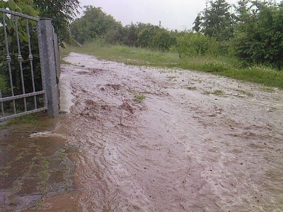 Wassergrundst&uuml;ck (Foto: Sebert)