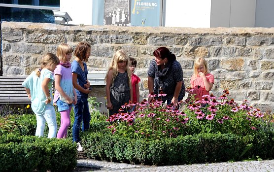 Kr&auml;uter erkundet (Foto: I. Bergmann, Stadt Nordhausen)