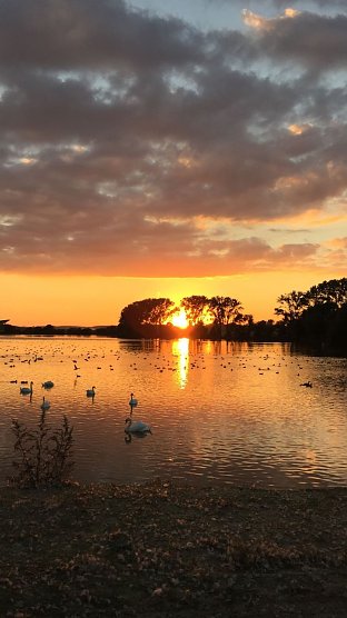 Abendstimmung (Foto: I. Koch)