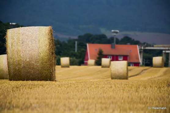 Wetter-Bild (Foto: Gernot Thelemann)